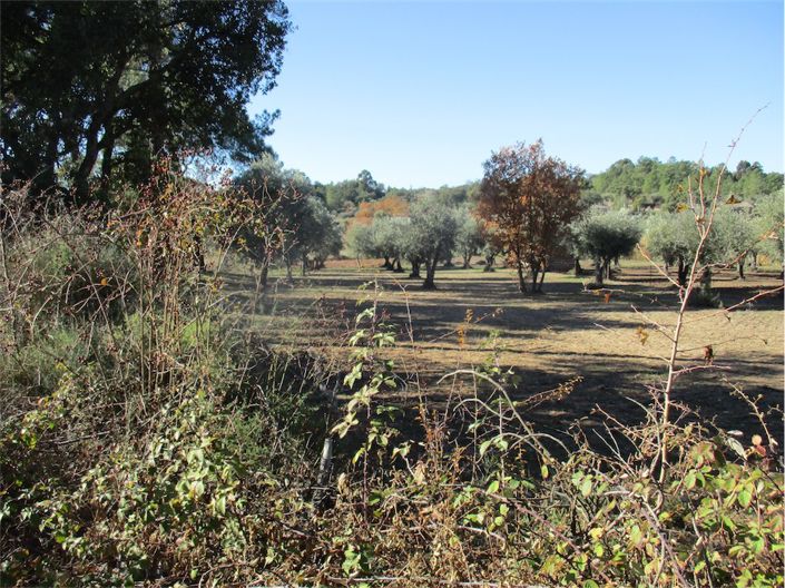 Image No.9-Property for sale