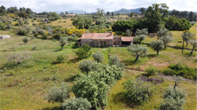 1 - Castelo Branco, Property