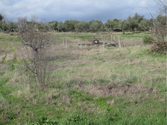 Image No.12-Property for sale