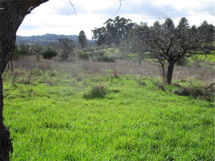 Image No.19-Property for sale