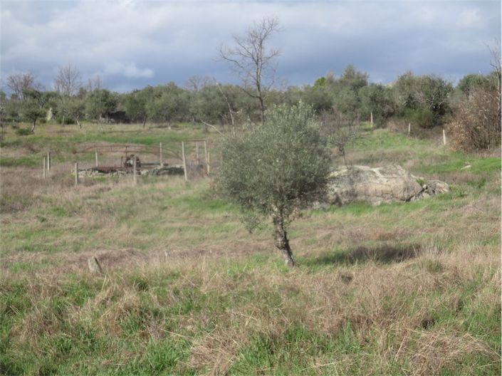 Image No.24-Property for sale