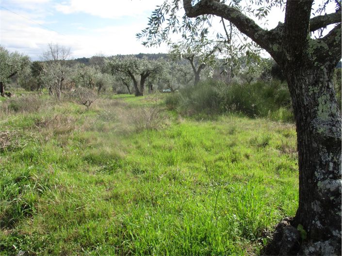 Image No.5-Property for sale