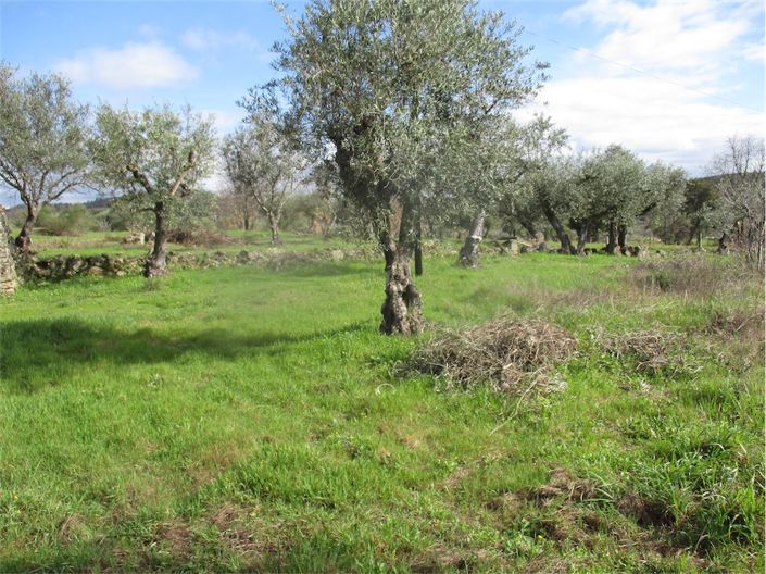 Image No.7-Property for sale