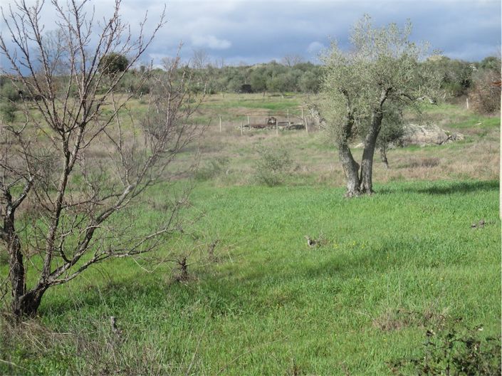 Image No.9-Property for sale