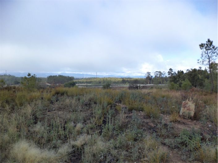 Image No.10-Property for sale