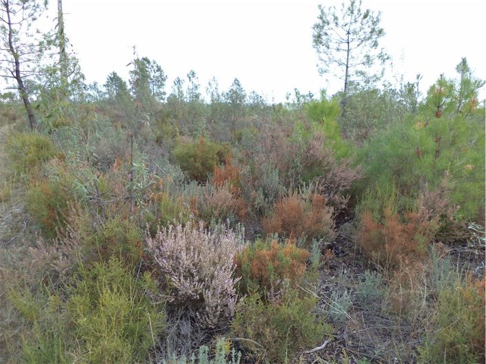 Image No.9-Property for sale