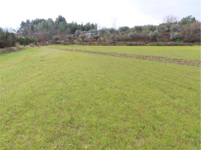 Image No.1-Property for sale
