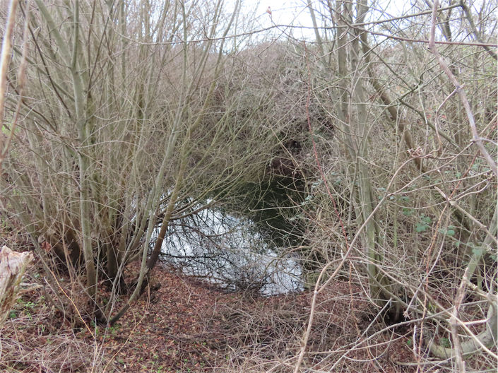 Image No.10-Property for sale