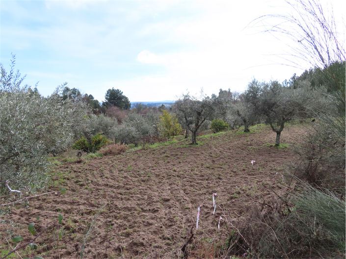 Image No.11-Property for sale