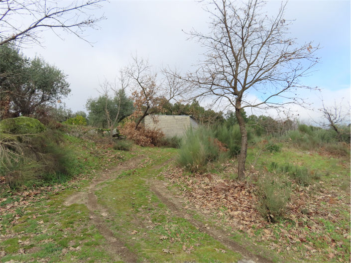 Image No.15-Property for sale