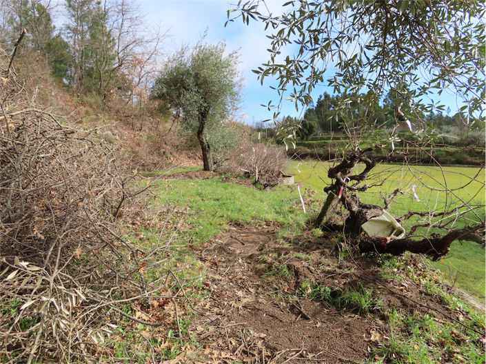 Image No.19-Property for sale