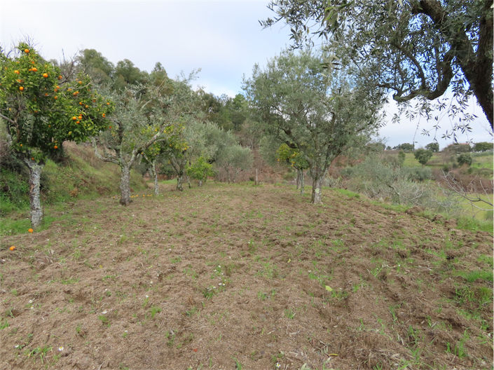 Image No.2-Property for sale