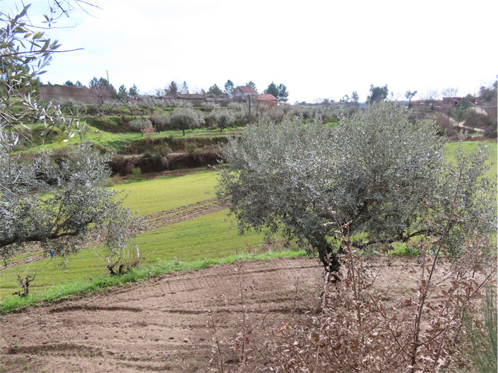 Image No.20-Property for sale