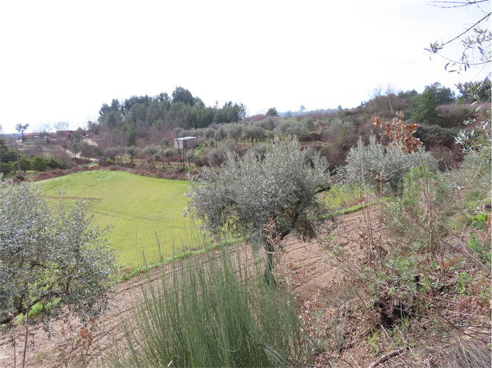 Image No.21-Property for sale