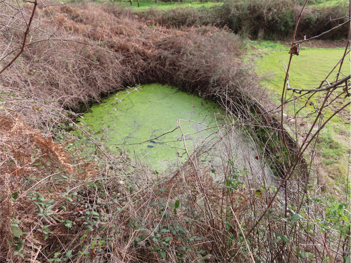 Image No.22-Property for sale