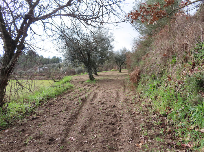 Image No.24-Property for sale