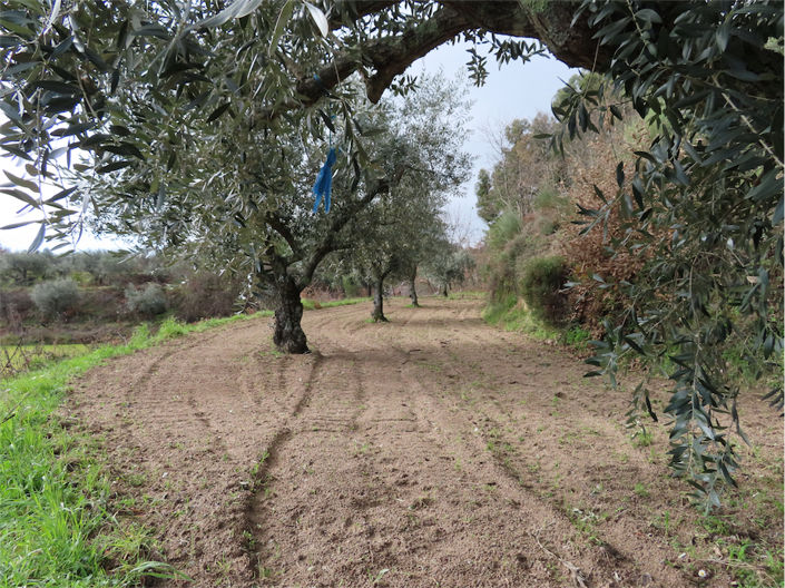 Image No.25-Property for sale