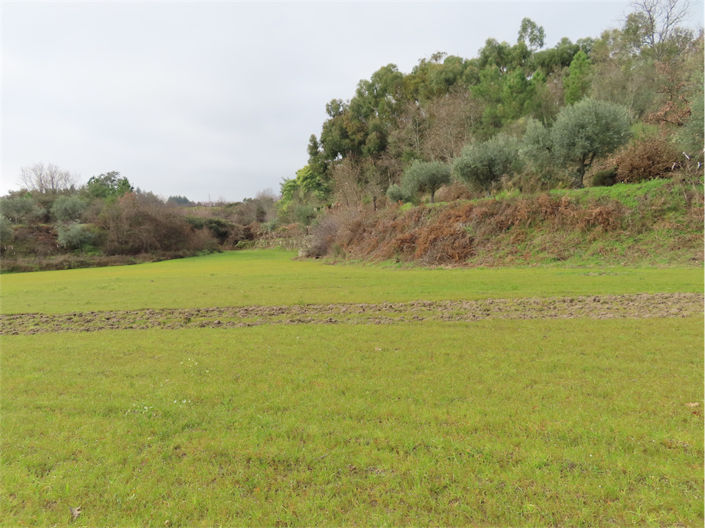 Image No.26-Property for sale