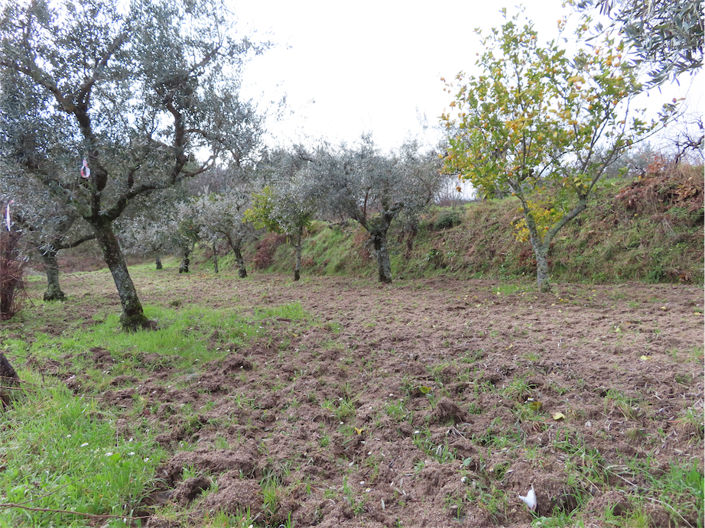 Image No.3-Property for sale