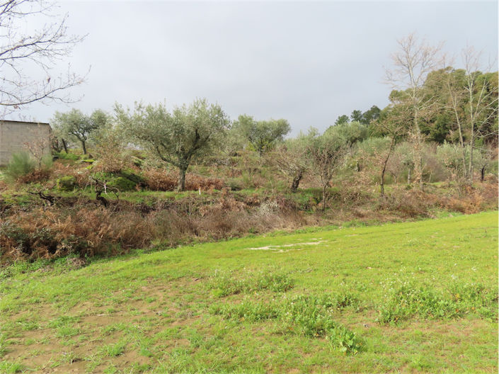 Image No.31-Property for sale