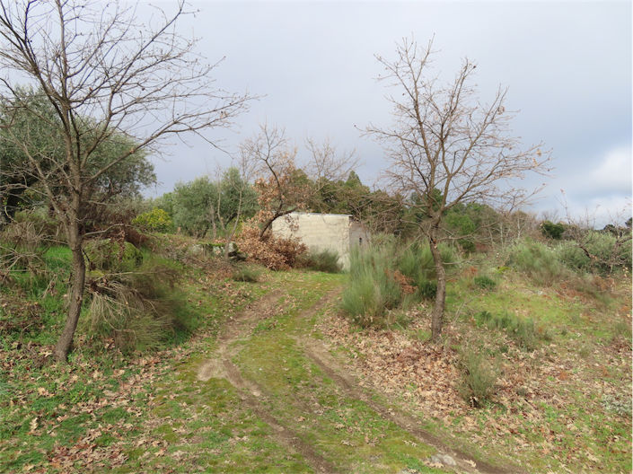 Image No.33-Property for sale