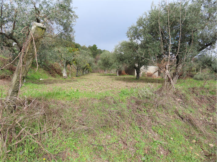 Image No.34-Property for sale