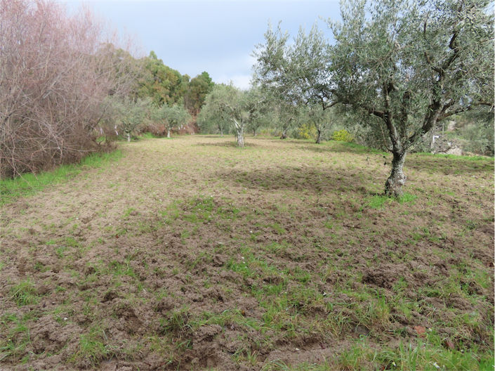 Image No.35-Property for sale