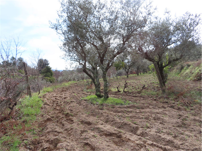 Image No.36-Property for sale