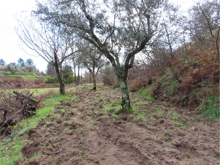 Image No.37-Property for sale