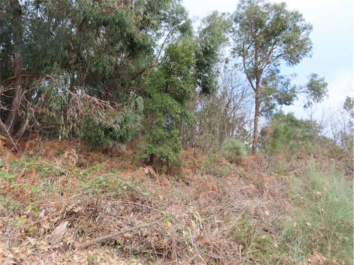 Image No.39-Property for sale