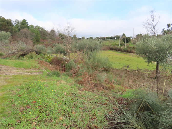 Image No.4-Property for sale