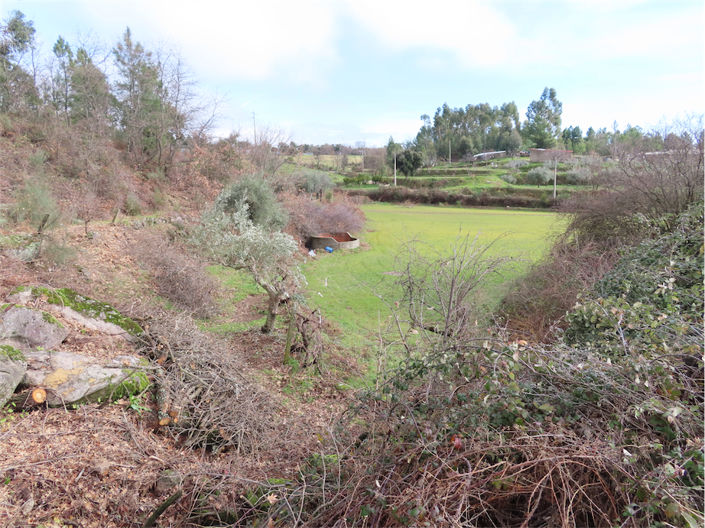 Image No.5-Property for sale