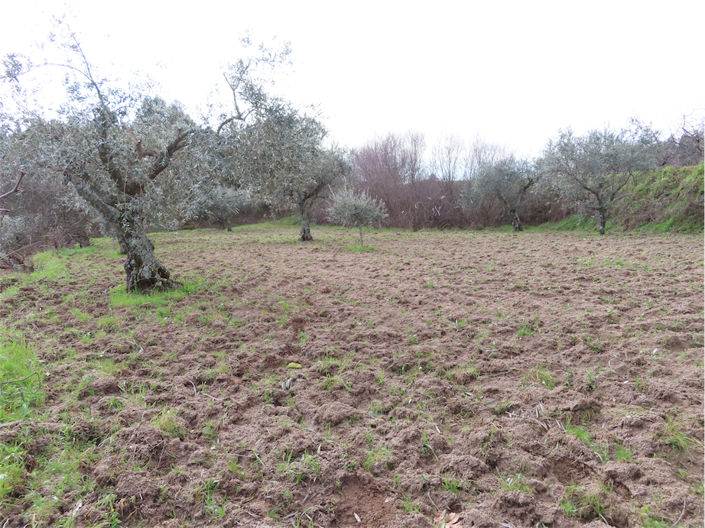 Image No.8-Property for sale