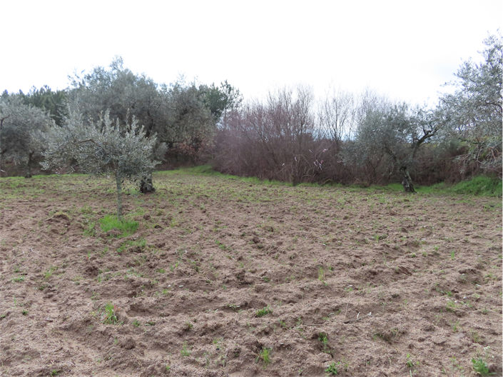 Image No.9-Property for sale