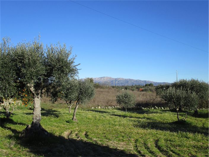 Image No.1-Property for sale