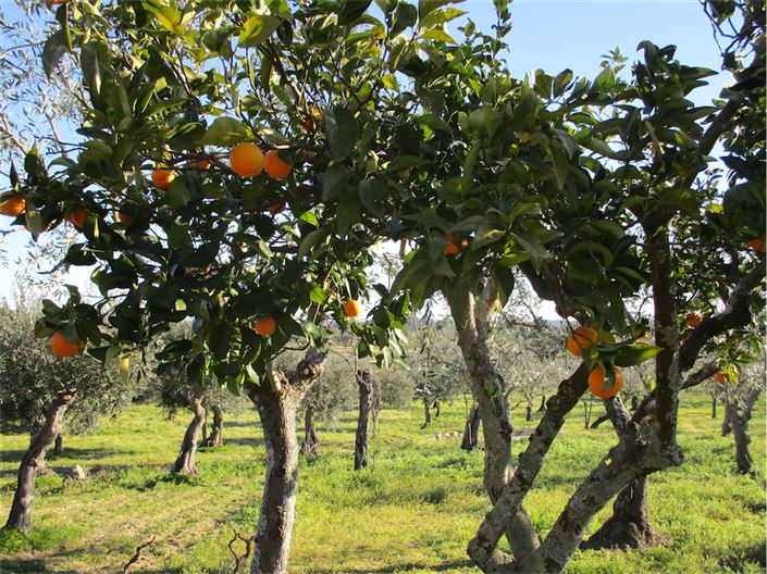 Image No.13-Property for sale