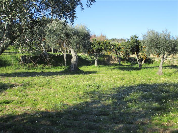 Image No.14-Property for sale