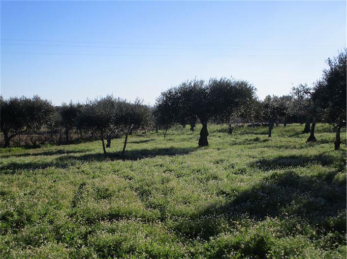 Image No.17-Property for sale