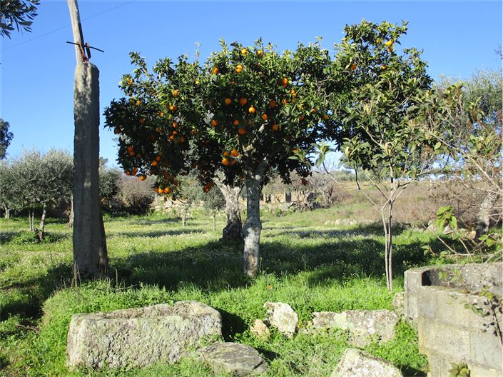 Image No.19-Property for sale