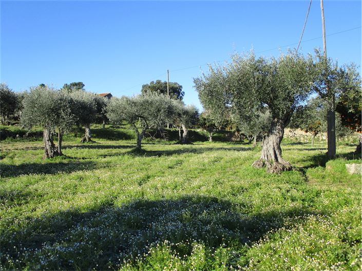 Image No.20-Property for sale