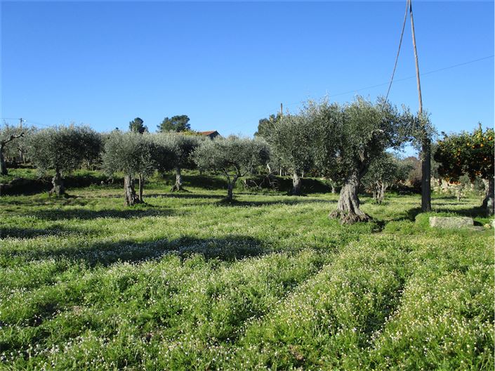 Image No.21-Property for sale