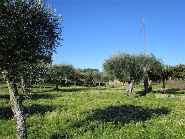 Image No.22-Property for sale