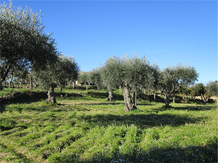 Image No.23-Property for sale