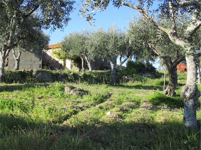 Image No.24-Property for sale