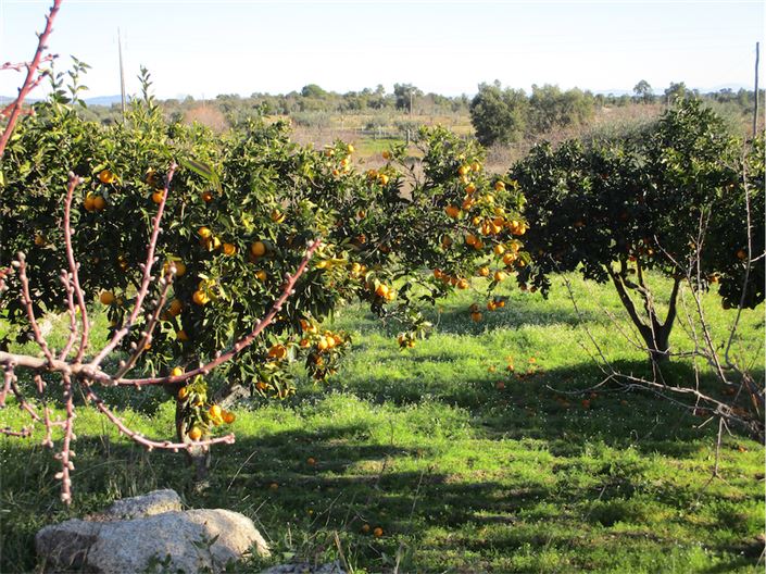 Image No.25-Property for sale