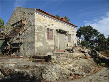 1 - Castelo Branco, Property