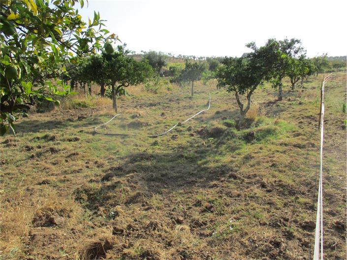 Image No.11-Property for sale