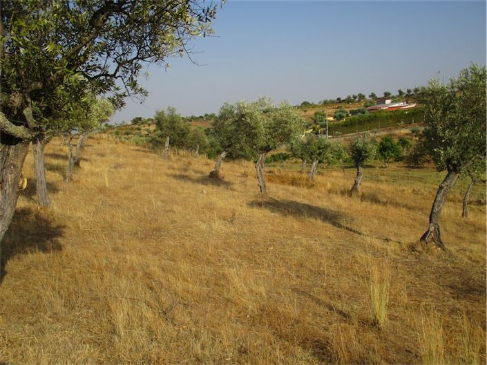 Image No.14-Property for sale