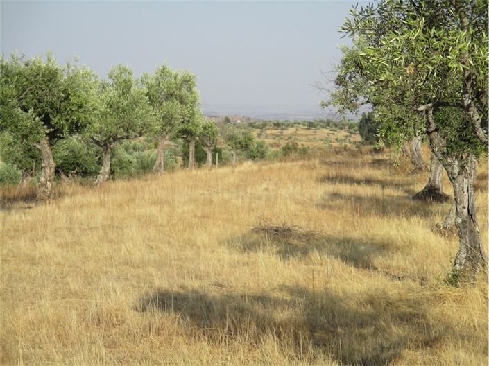 Image No.15-Property for sale