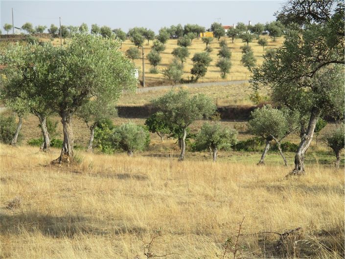 Image No.16-Property for sale